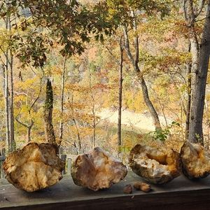 Kentucky Geodes and Agates 12